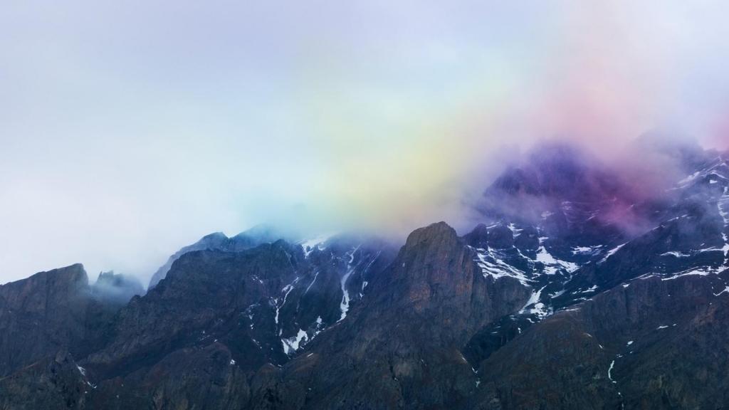 大自然的唯美姿态