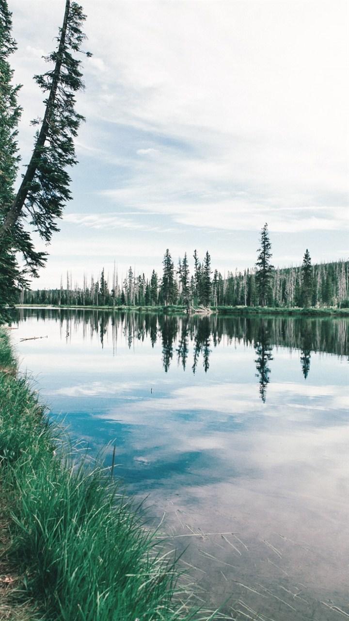 非主流自然风光摄影安卓壁纸