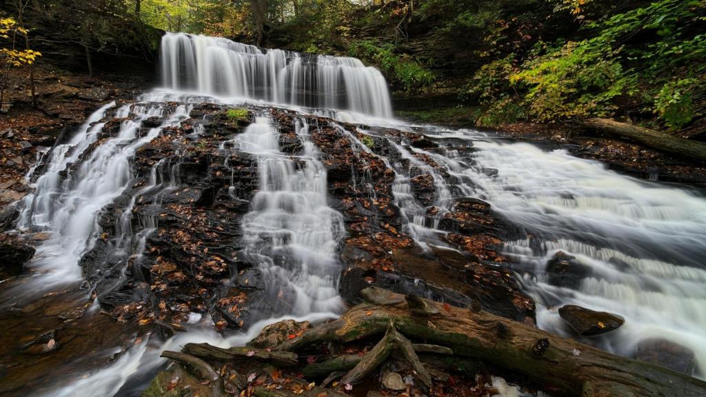美国沃特金斯格伦州立公园自然风景