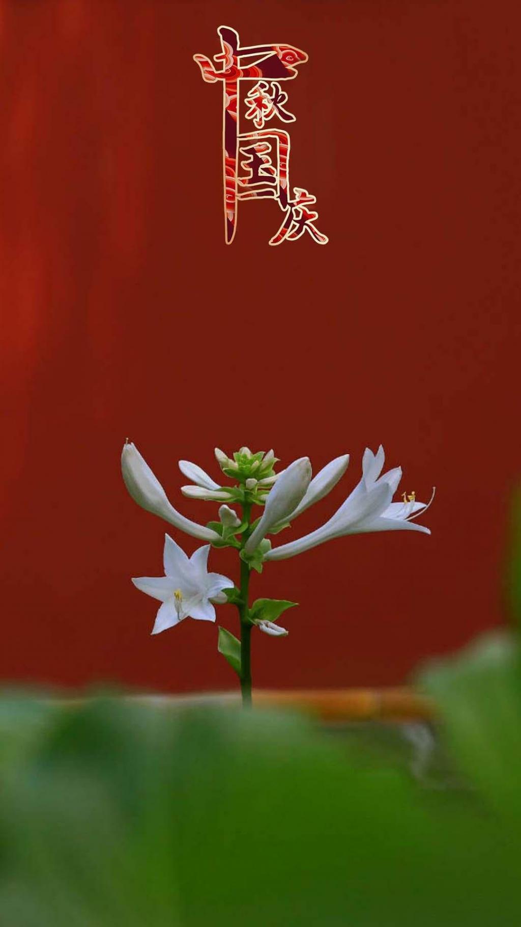 中秋国庆举国同庆红色大气配图