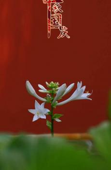 中秋国庆举国同庆红色大气配图-0