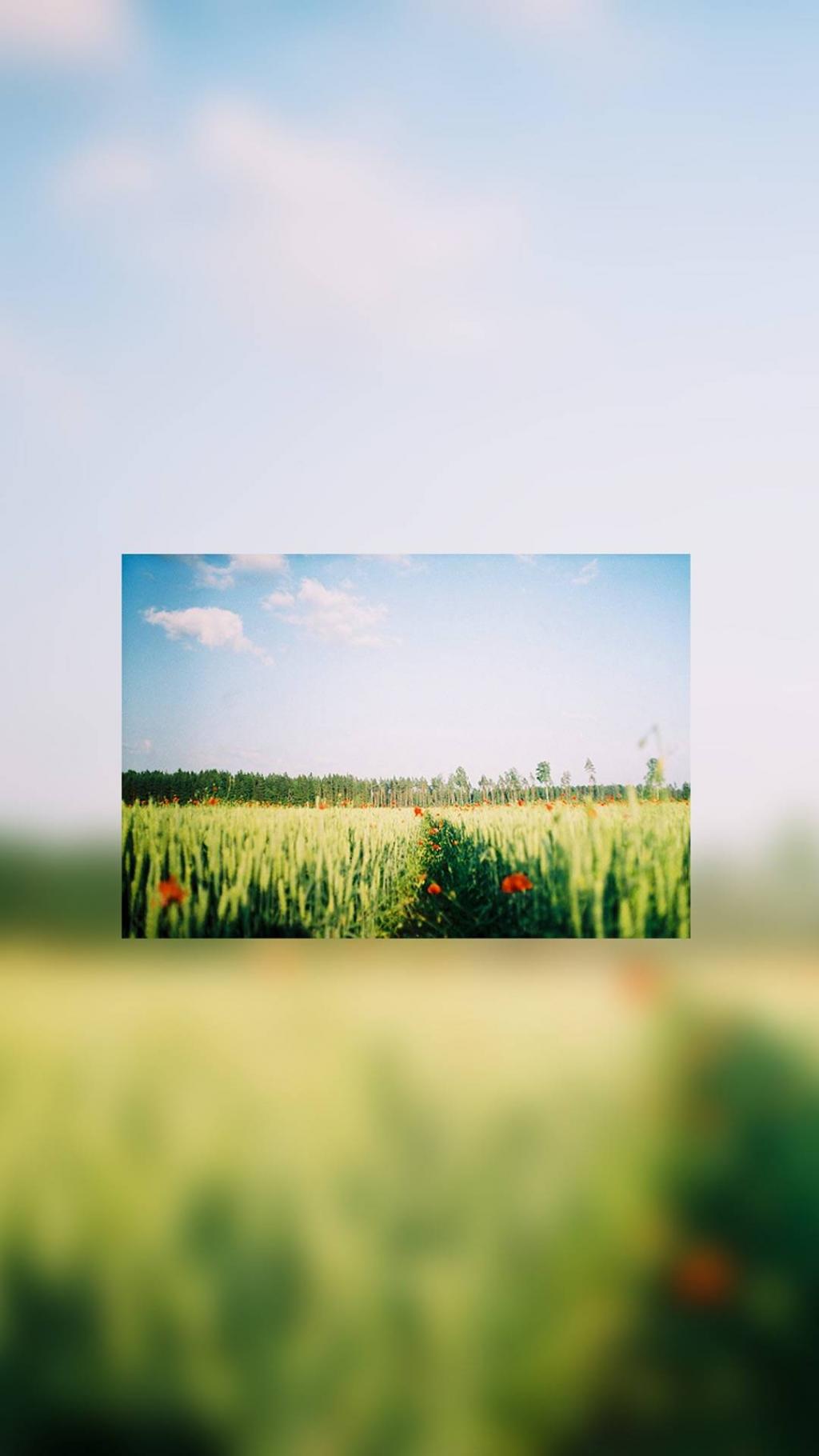 唯美个性清新背景