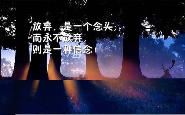 微信早安心语励志语录