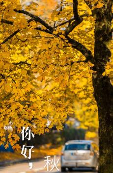 九月的秋天