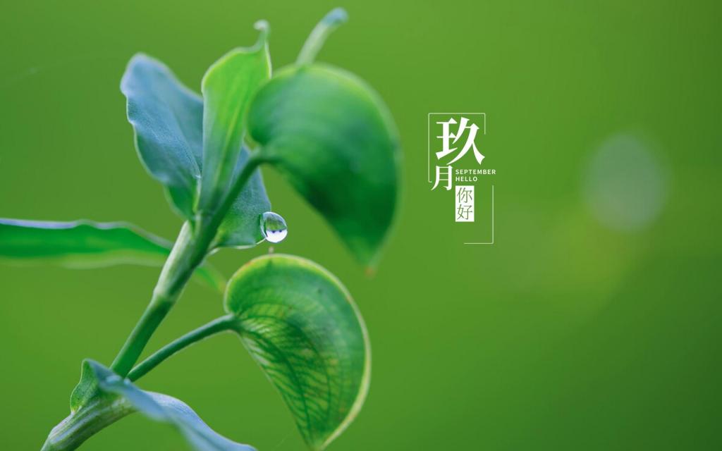 全新的9月你好带字文案
