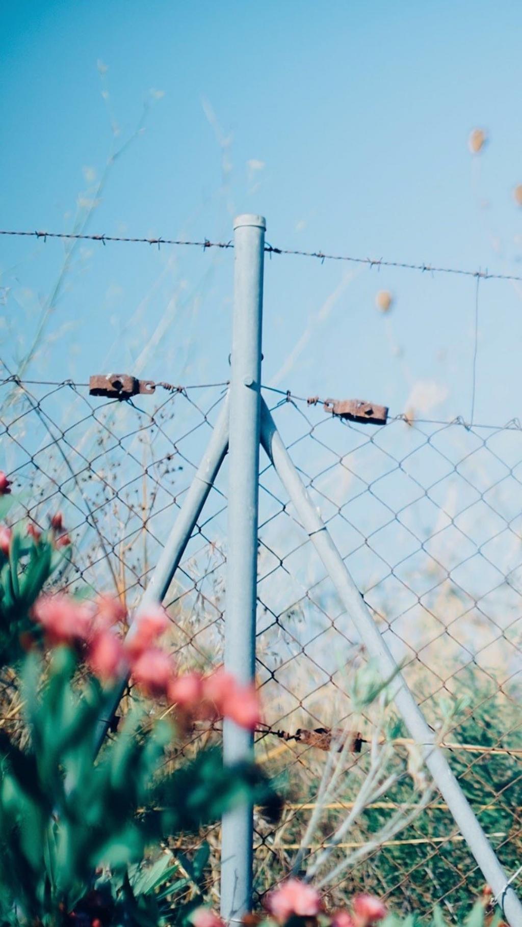 清新庭院唯美图片