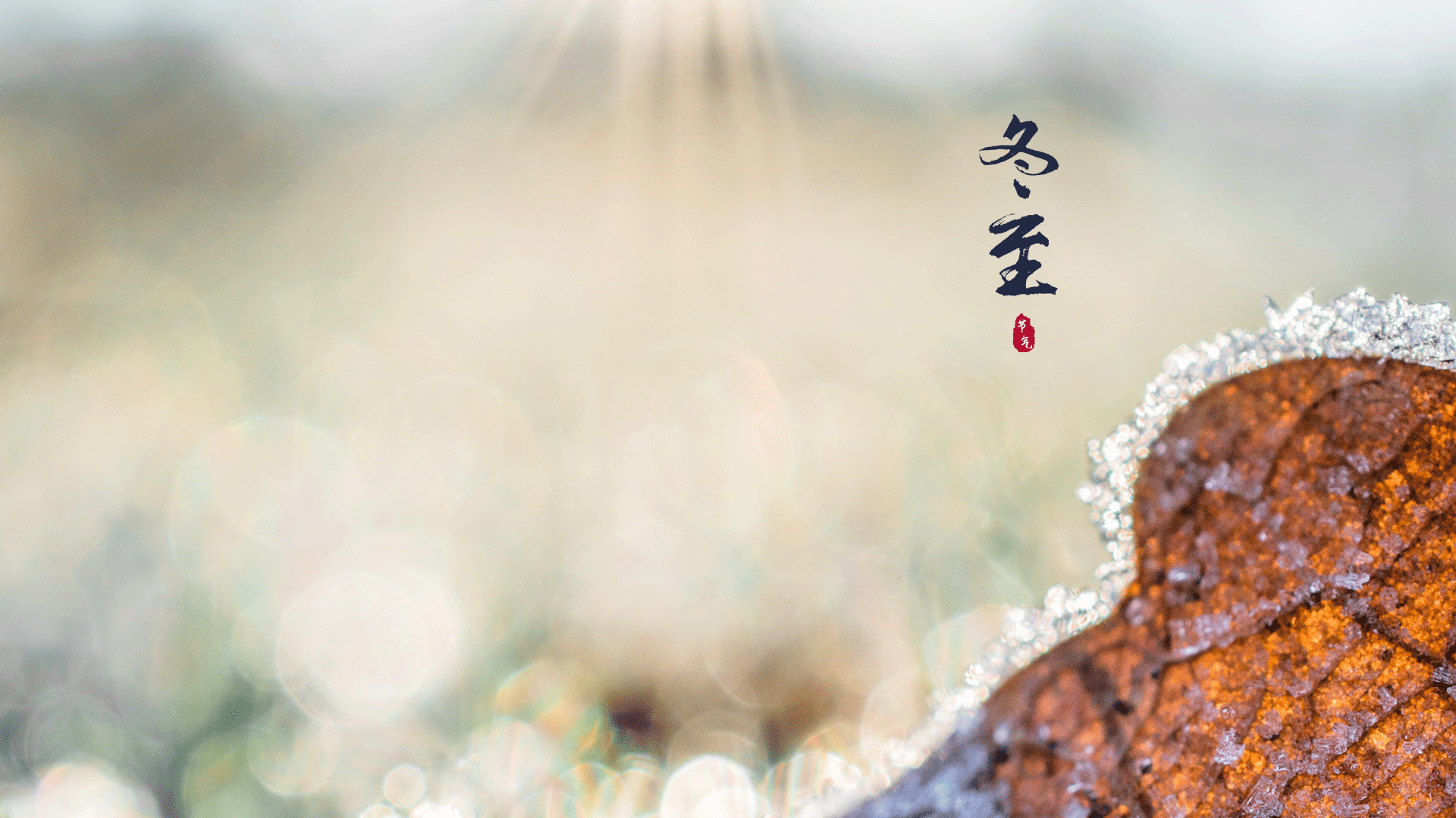 最美的冬至时节