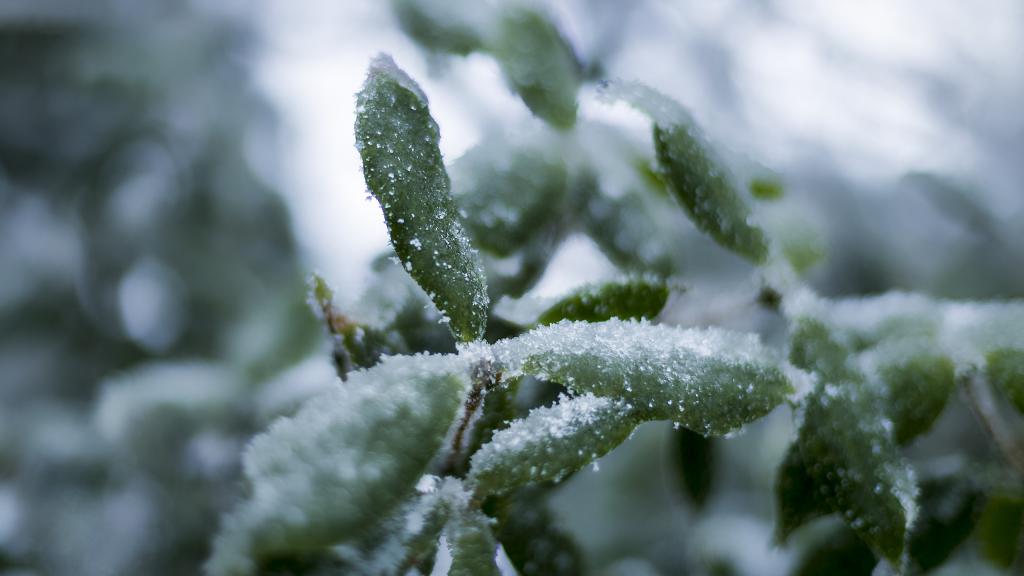 张家界袁家界雪景摄影
