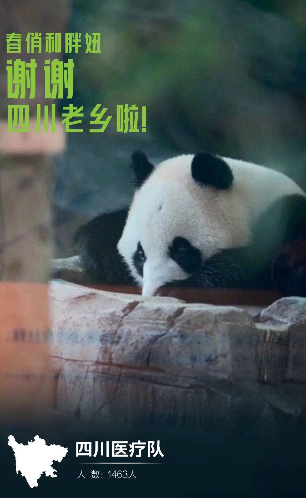 9涨武汉城市名片