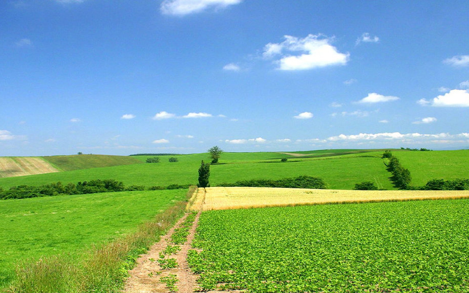 蓝天白云唯美护眼风景