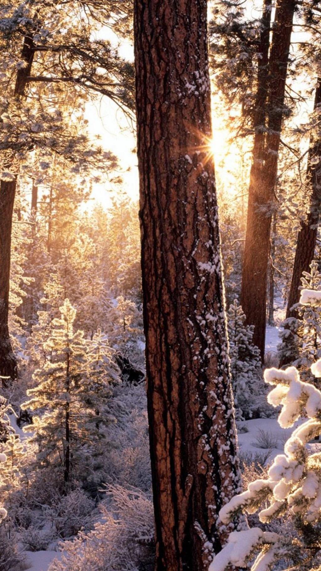 清晨第一缕阳光