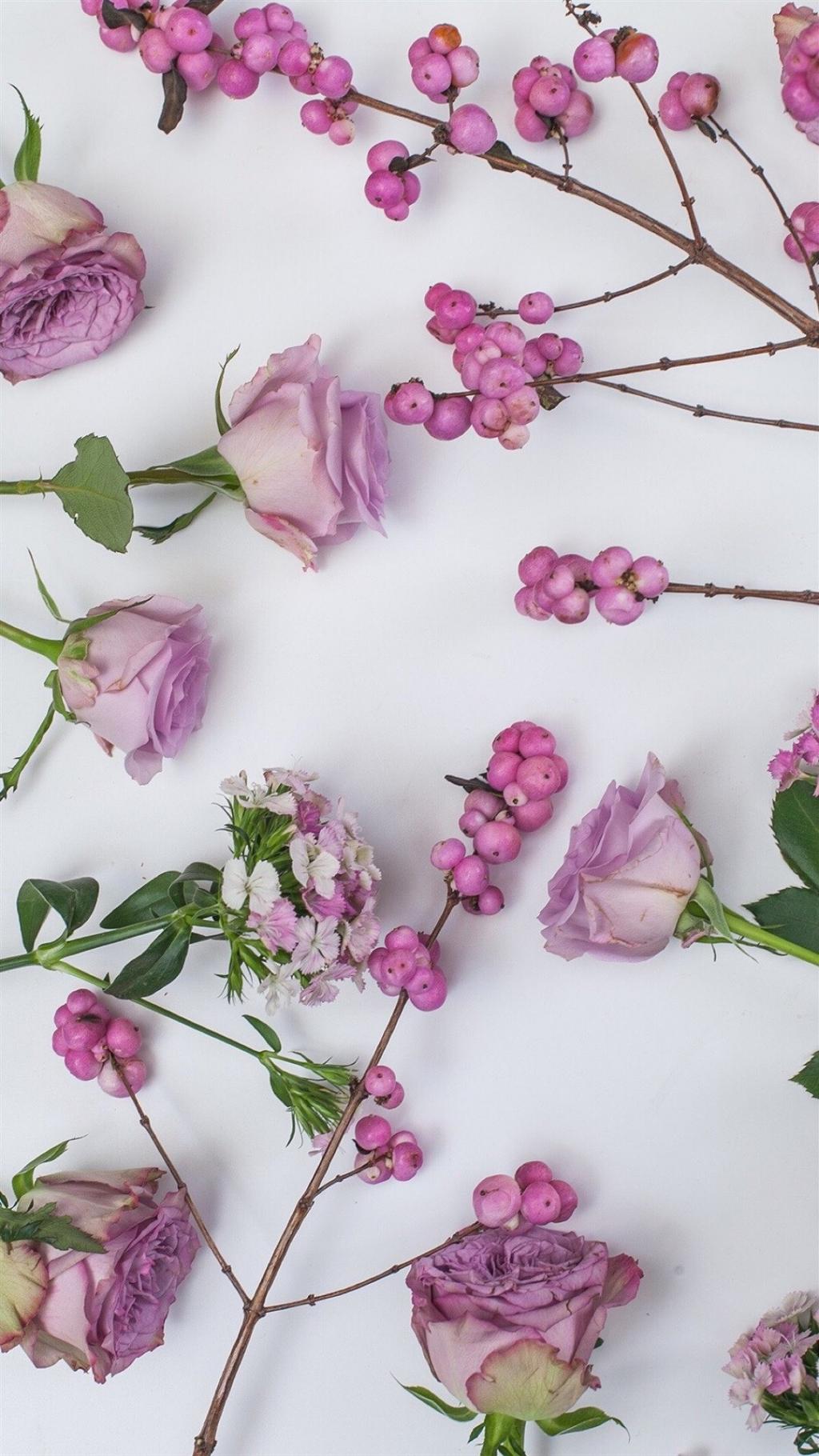 唯美绿色植物花卉