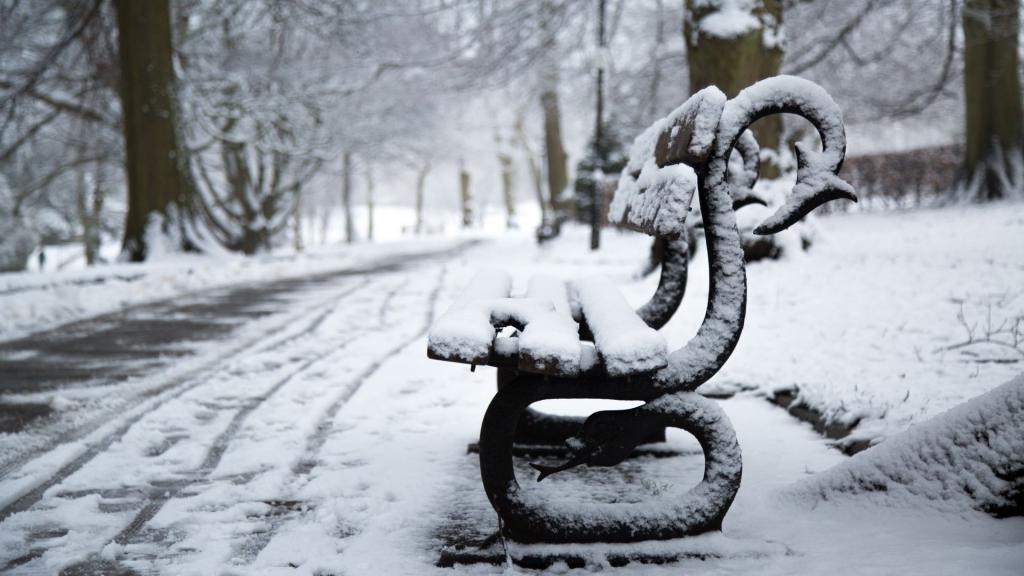 冬季雪地公园的长椅