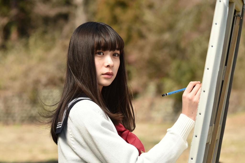 爱情日剧《完美世界》