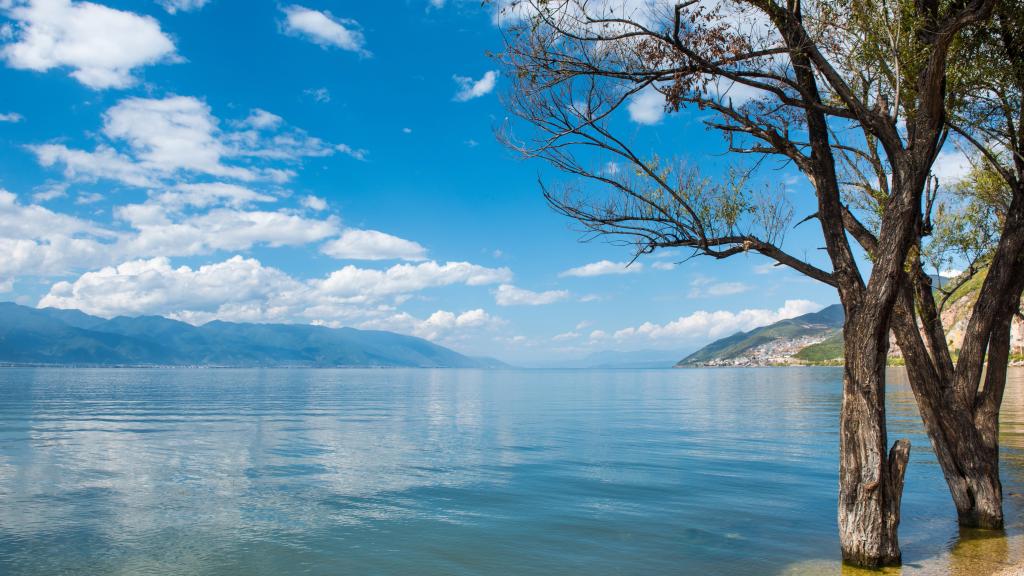 云南大理市的湖泊——洱海