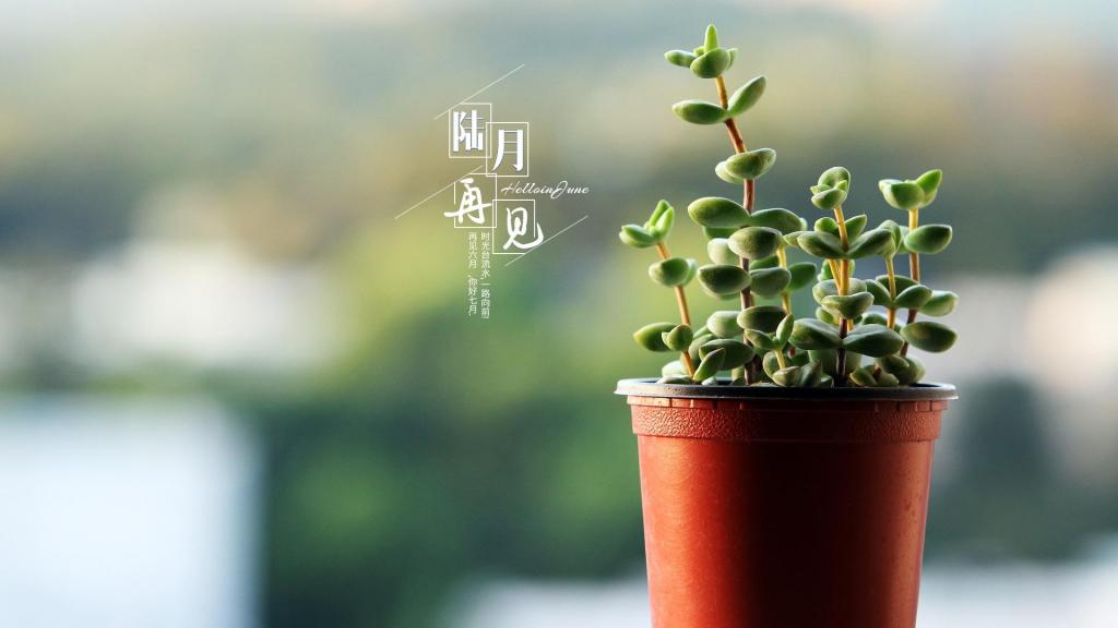 六月再见小清新文字说说图片