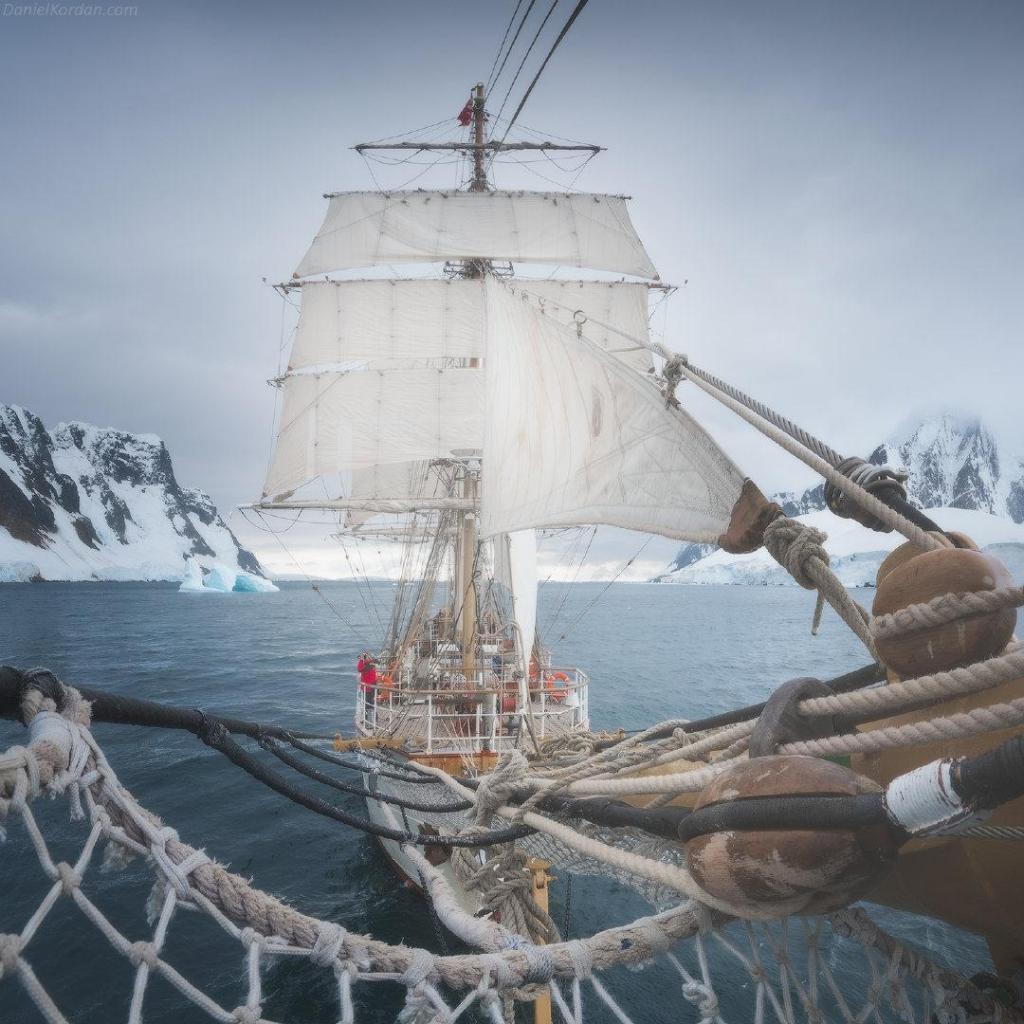 遇见艺术南极洲绿雪