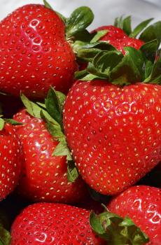 鲜艳亮丽的草莓