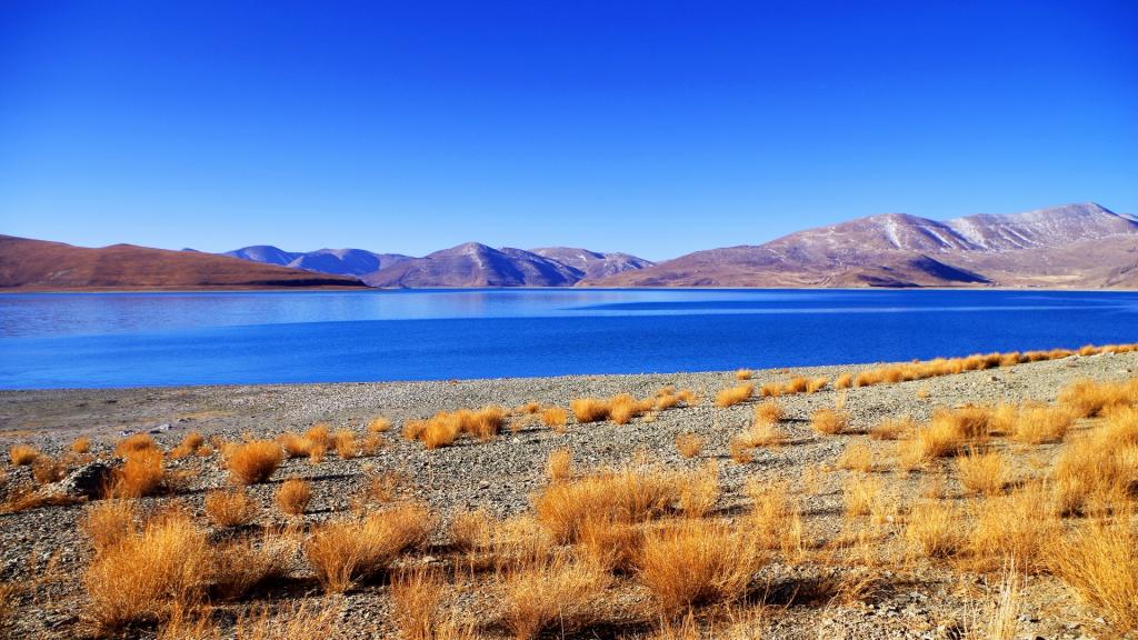 西藏羊卓雍措之碧蓝色湖泊