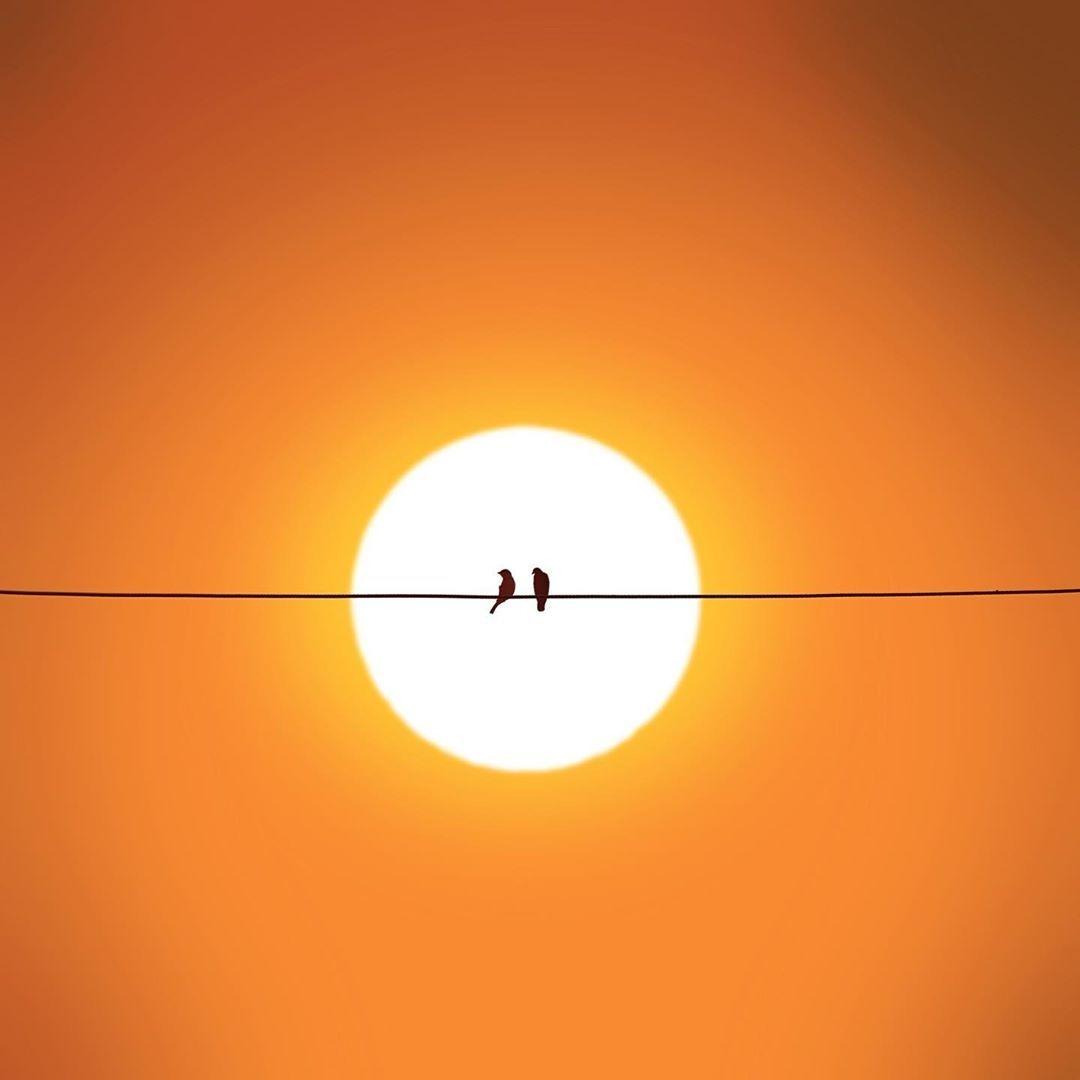 极简风创意艺术摄影