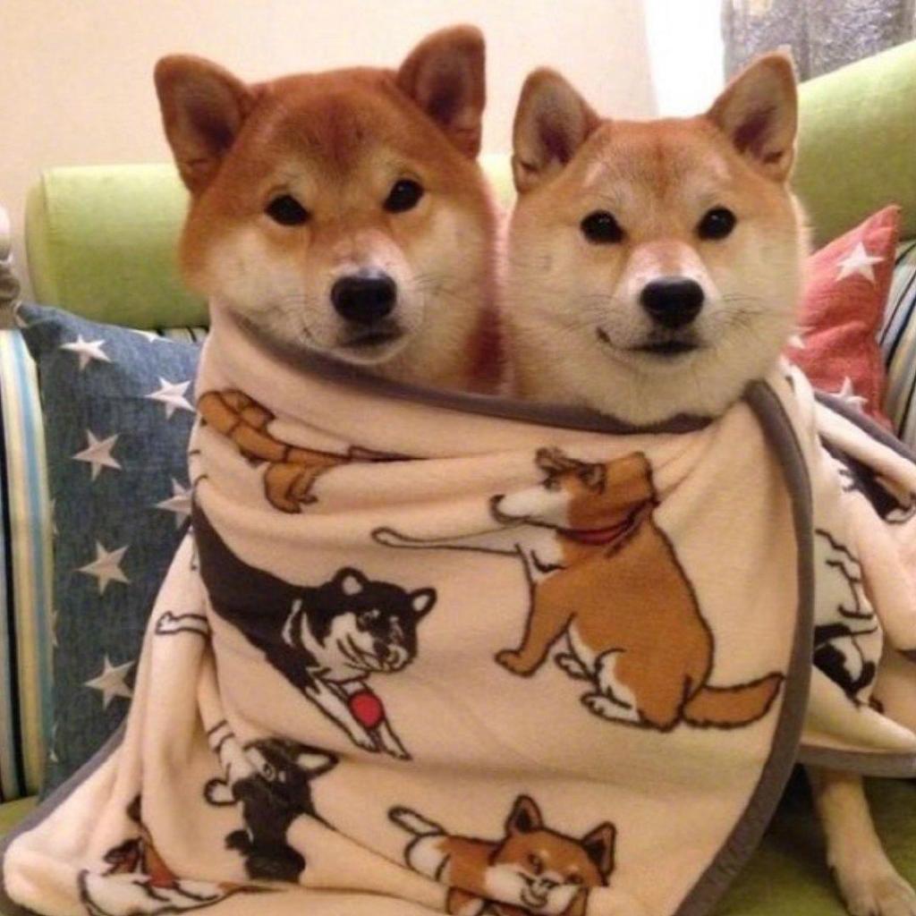 应该规定冬天禁止起床