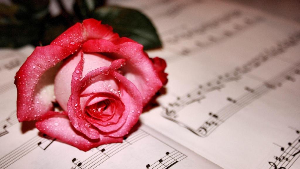 爱情总是美好的