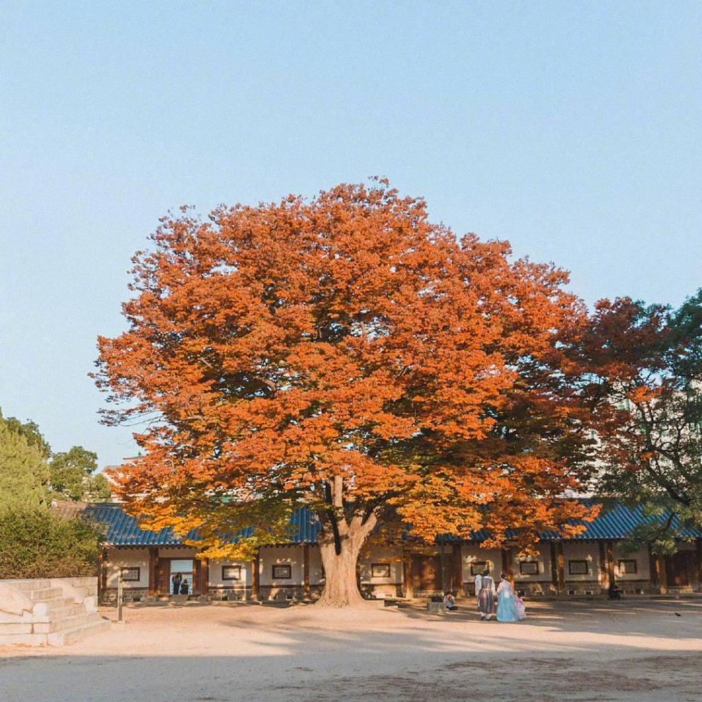 迷人秋色唯美自然风光