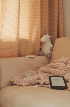 欧美流行ins风简约唯美静物摄影-4