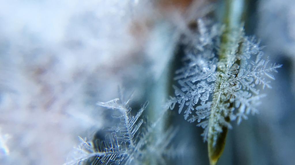 霜花形成的原因