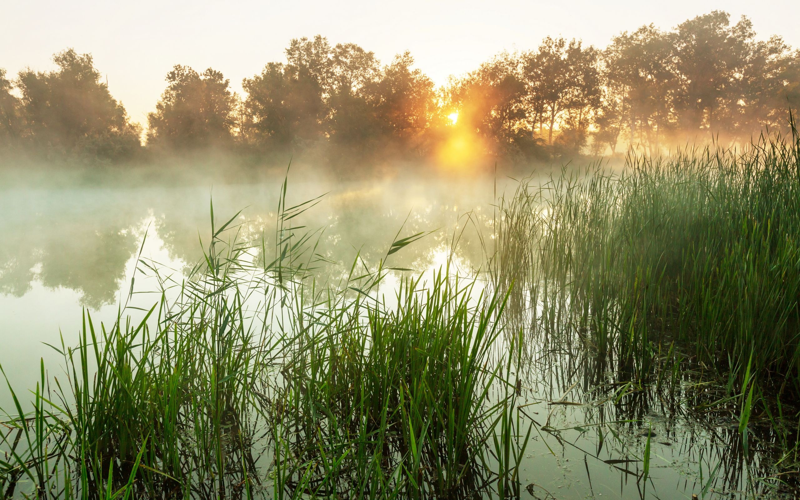 湖面早晨日出美景,湖泊,朝霞,清晨,唯美,高清壁纸,桌面图片-壁纸族