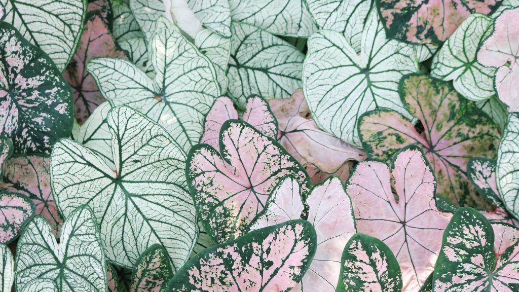 抽象艺术的世界