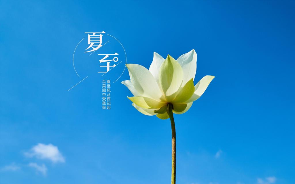 简单清新的24时节夏至