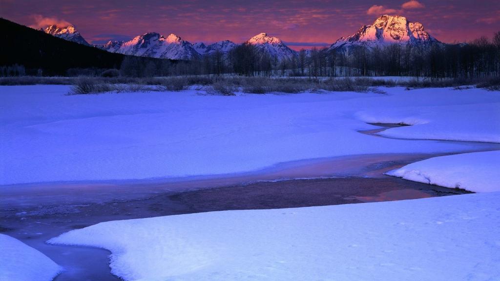 清新护眼的风景