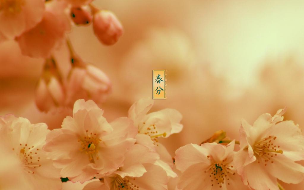 最美丽的24时节春分
