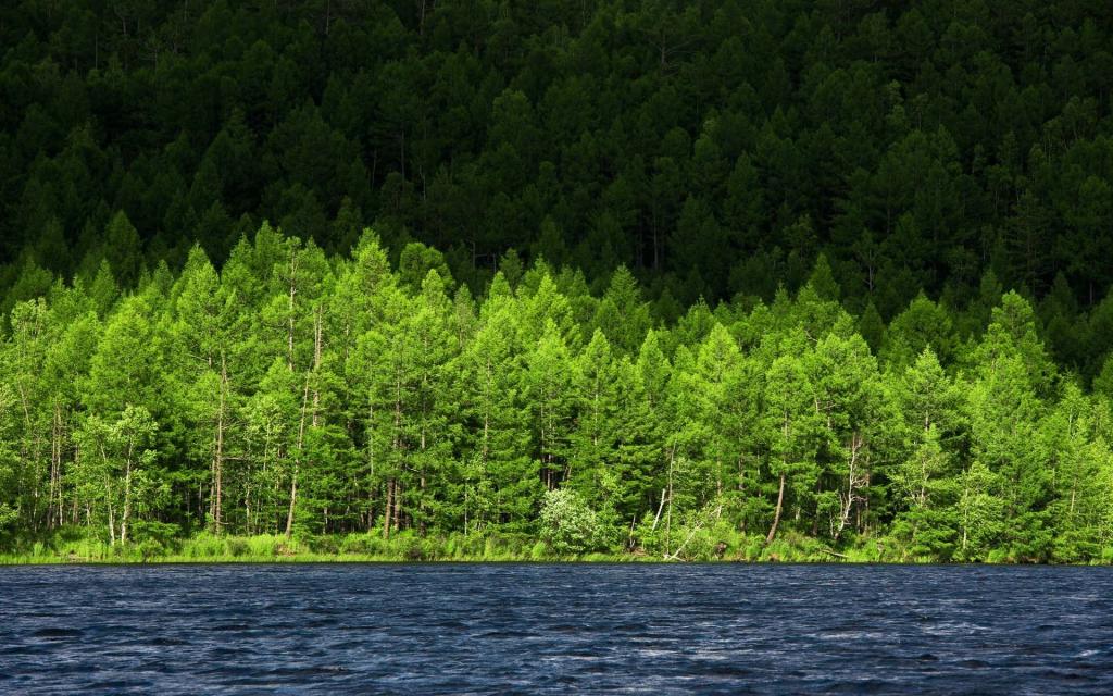 内蒙古阿尔山风景