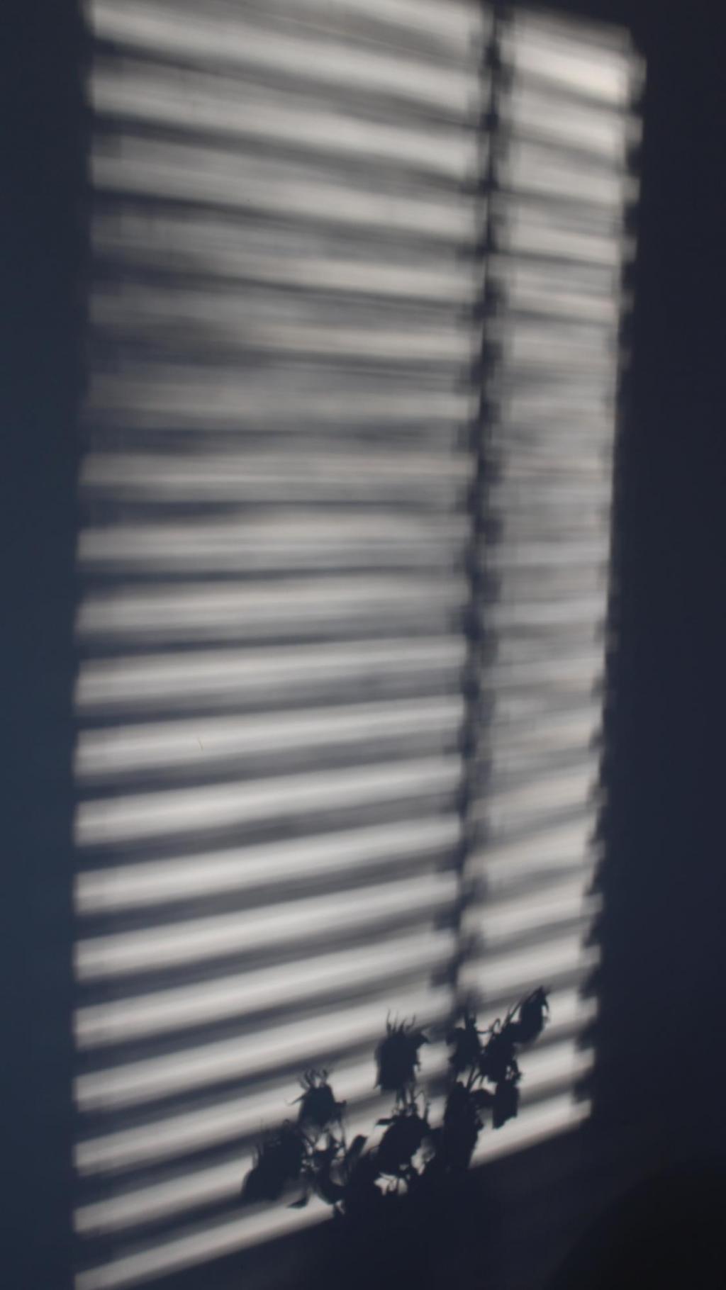 ins性冷淡风简约黑白家居