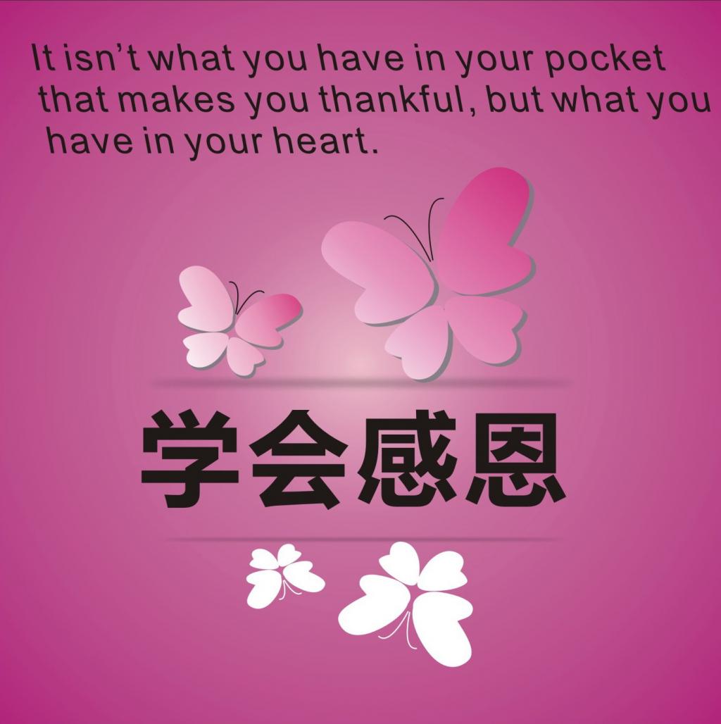 感恩节文字设计