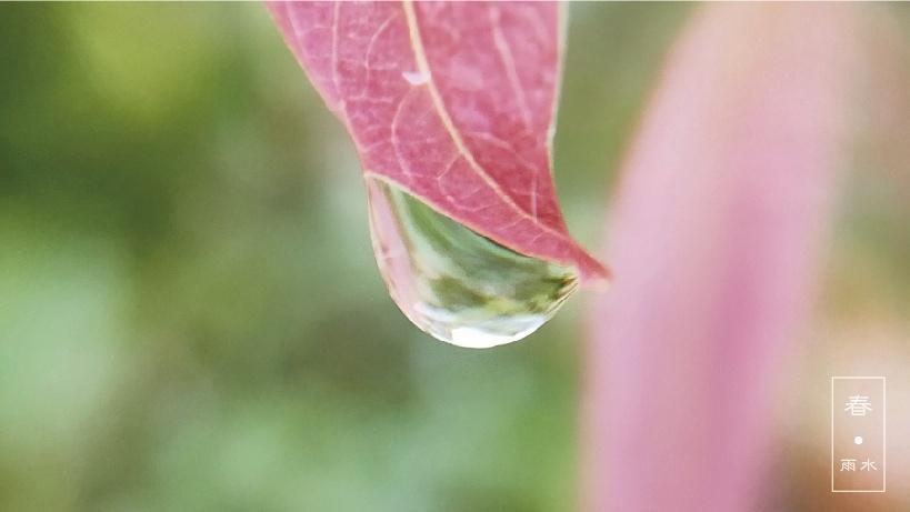 传统二十四节气雨水