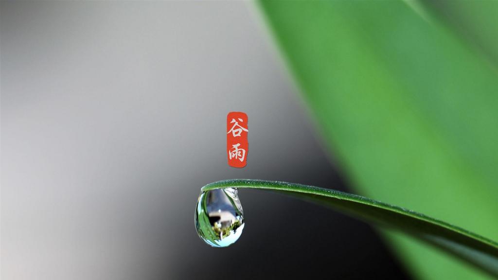 谷雨季节,清新到来
