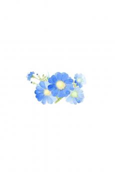 白色背景小清新花朵手绘插画-2