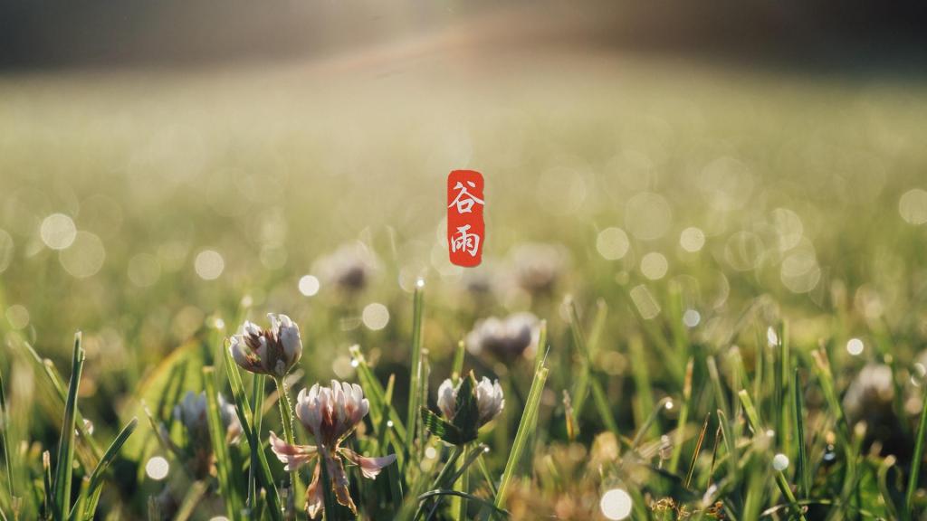 小清新24时节谷雨已到来
