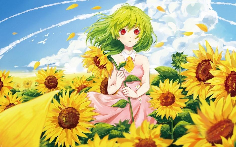 《风见幽香》动漫美女