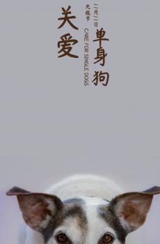 今天是光棍节-4