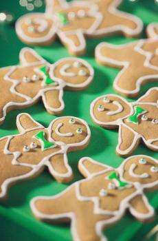 圣诞节的小饼干-5