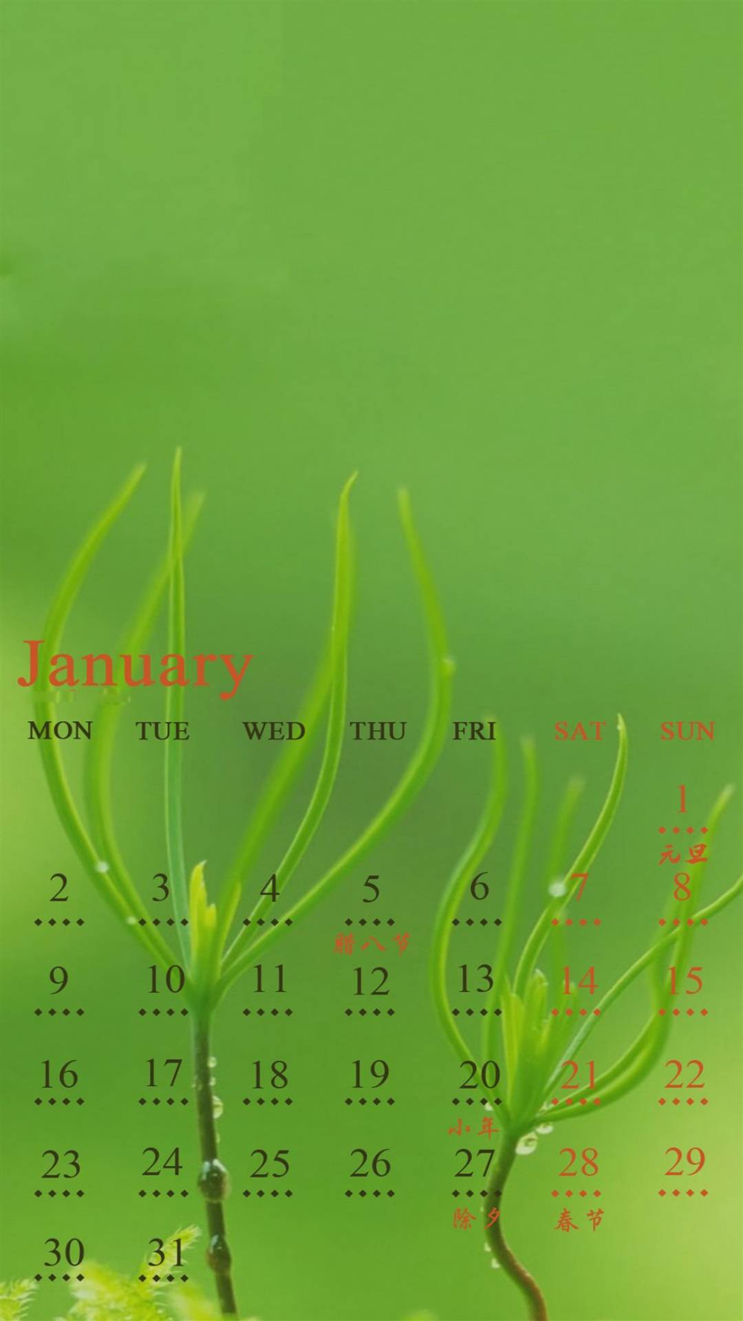 2017年1月绿色植物日历