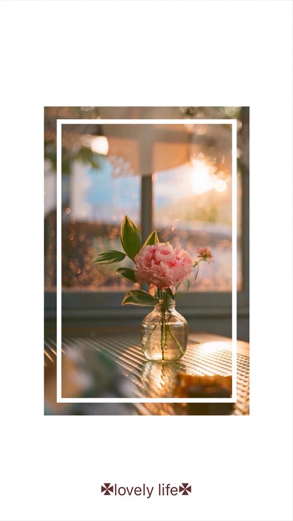 小清新花朵植物