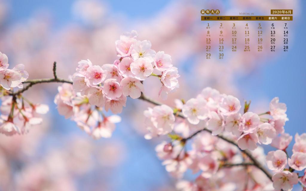 2020年6月清新淡雅桃花唯美摄影日历
