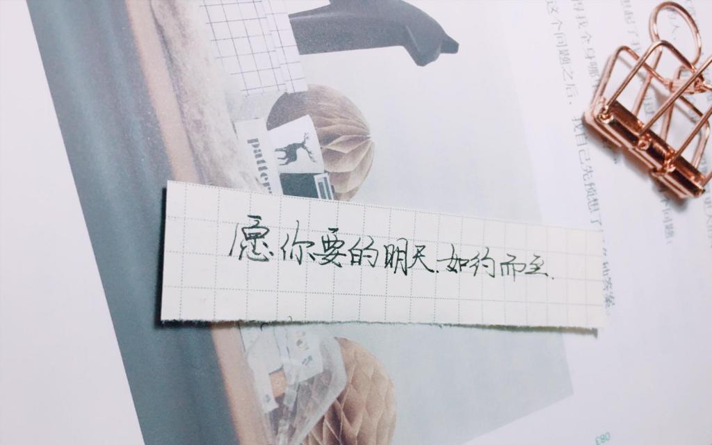 今日份手摘2020心愿