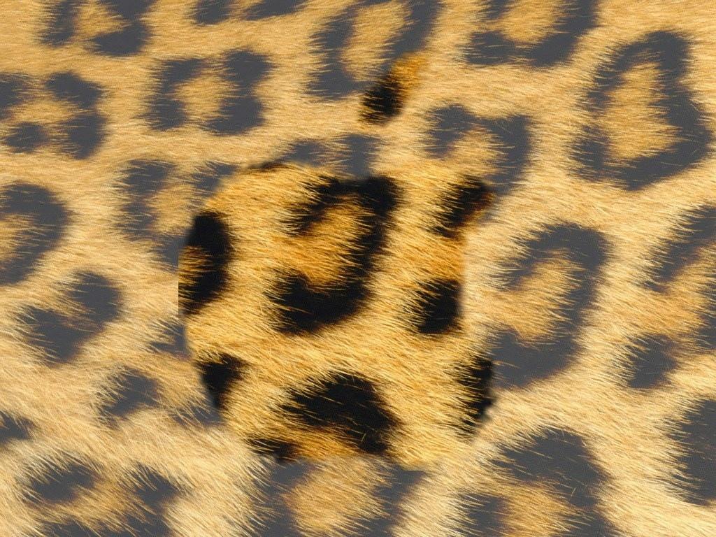 Apple主题 第19辑