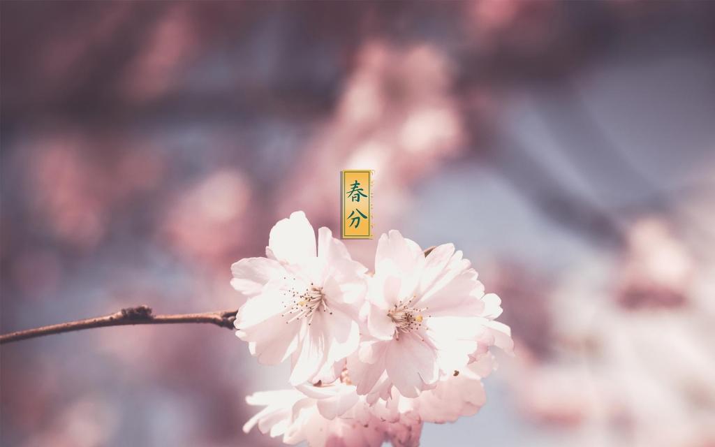 最美丽的24时节春分